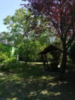 Apartman - 2 4 Balatongrünhaus - Kiadó ház Zamárdi